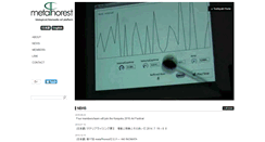 Desktop Screenshot of metaphorest.net